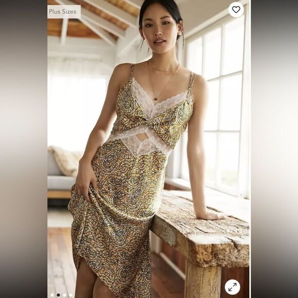 Anthropologie Dresses & Skirts - NWT Anthropologie Lace Inset Midi Dress in Yellow Motif